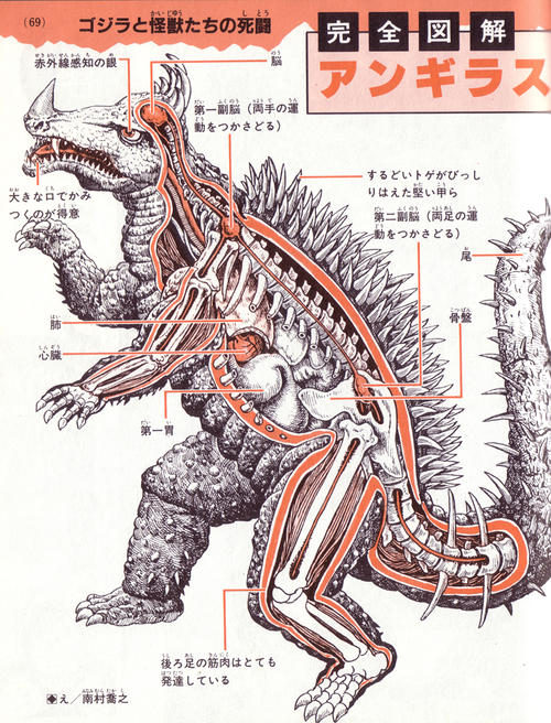 godzilla gamera