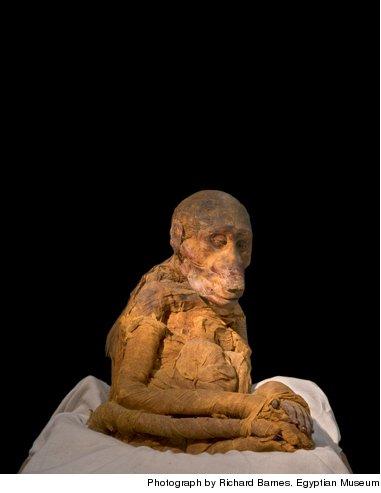 Cairo Museum Mummies