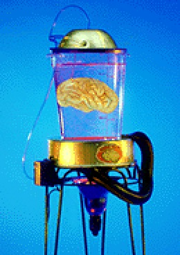 Brain Jar