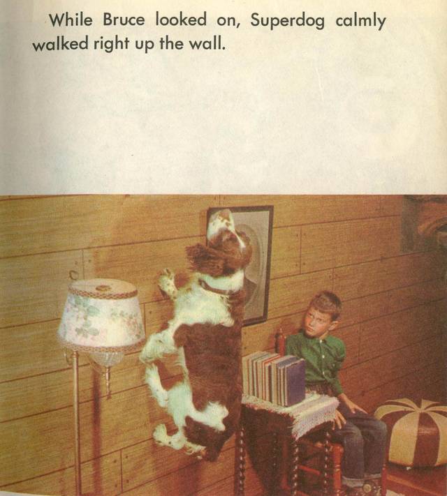 Superdog Book