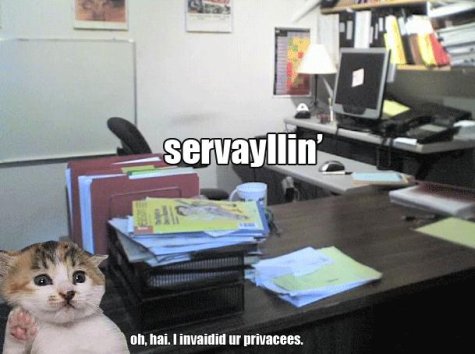 intern lolcat