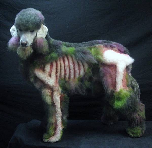 [Image: zombie-poodle.jpg]