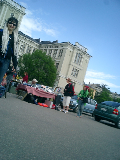 Finnish flea-market and pickers