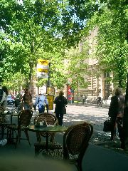 Scenes from a Helsinki cafe