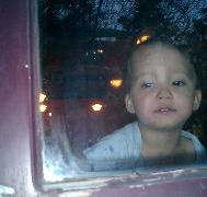 Small child in restaurant window