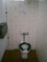 Flush toilet sign, Mars diner